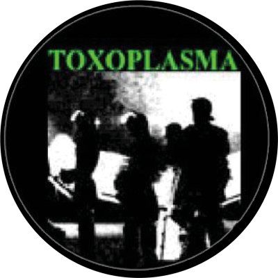 Toxoplasma
