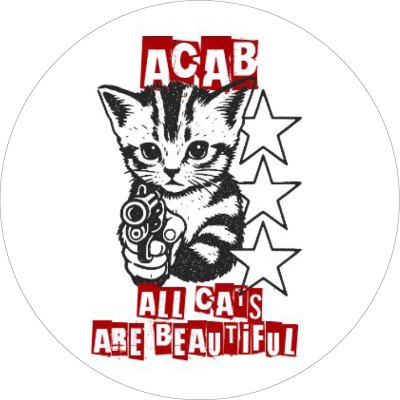 All Cats Are Beautiful