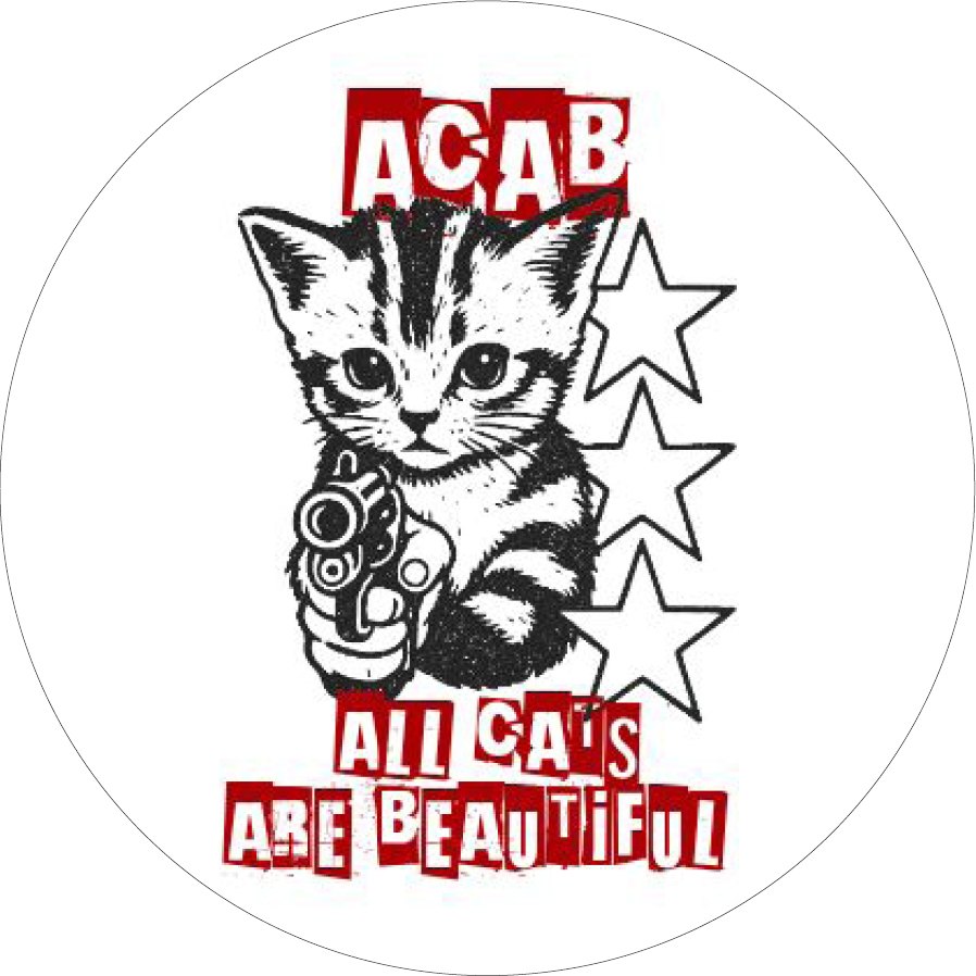 All Cats Are Beautiful