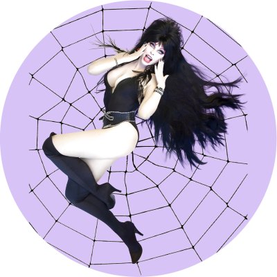 Elvira Mistress Of The Dark Spiderweb