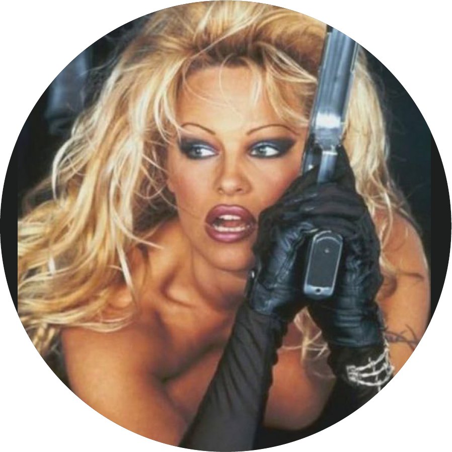 Pamela Anderson Barbwire