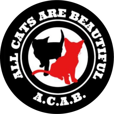 All Cats Are Beautiful 2