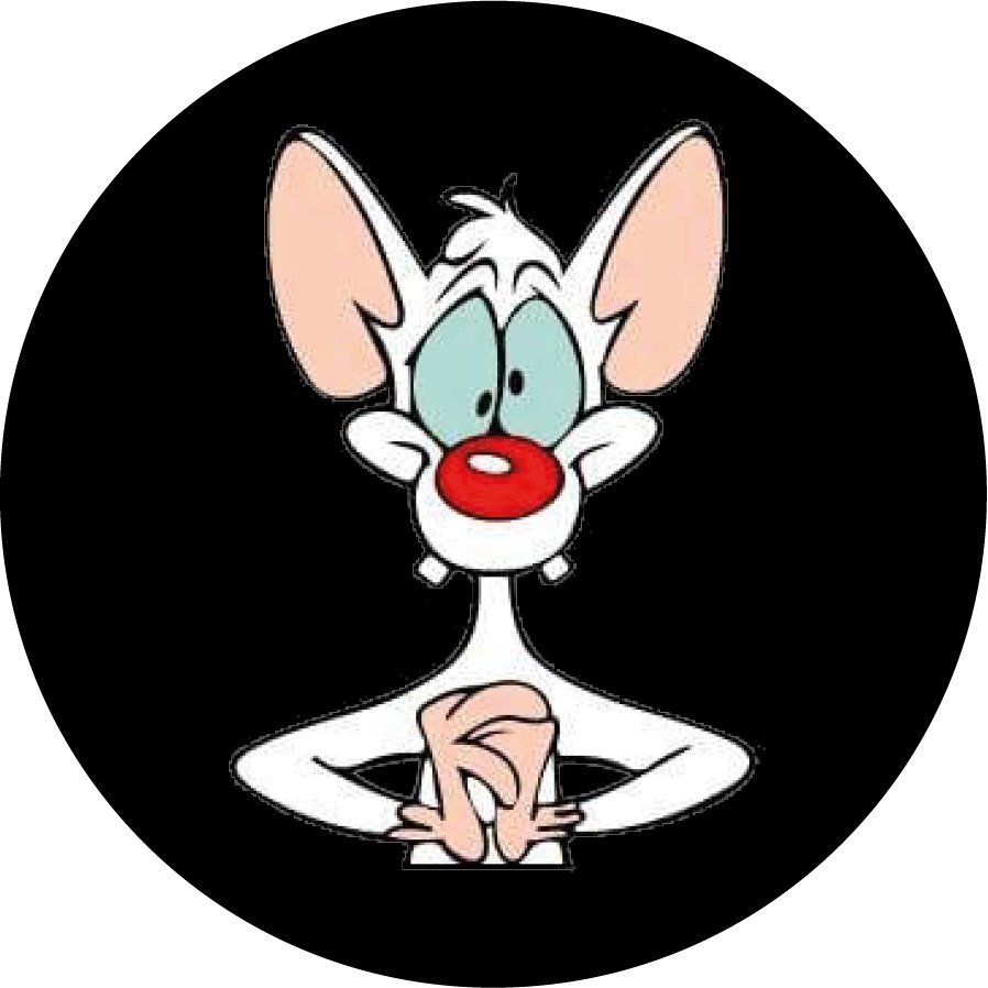 Pinky & Brain Pinky