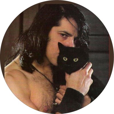 Danzig Cat