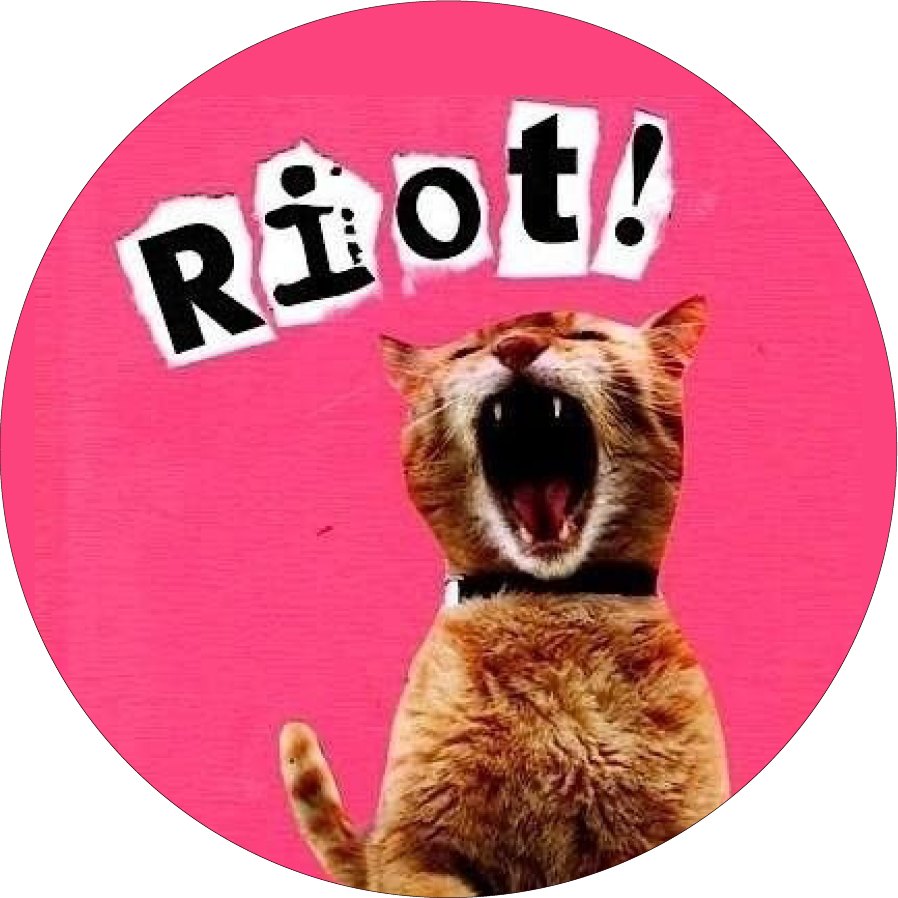 Riot Cat